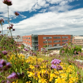 Looking back at the 2018/19 academic year